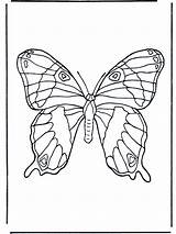 Coloring Butterfly Insects Pages Advertisement Popular sketch template