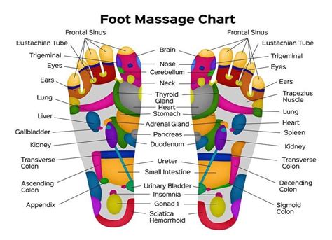 reflexology is not a foot massage i like this foot reflexology map