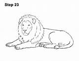 Lion Draw Drawing Down Lying Line Color Step Sketch Löwe Laying Pencil Simple Schritt Easy Für How2drawanimals Side Drawings Outline sketch template