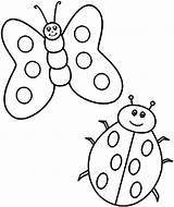 Bug Butterfly Bugs Bee sketch template