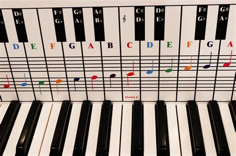 buy piano  keyboard note chart    keys ideal visual