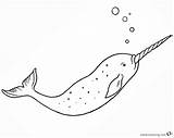 Narwhal Coloring Pages Single Printable Kids sketch template