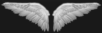 general  angel wings psd