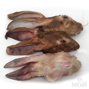rabbit feet born wild raw pet food