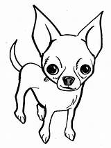 Chihuahua Smallest sketch template