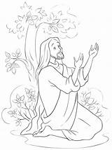 Praying Gethsemane Gebet Farbtonseite Kleurende Gebed sketch template
