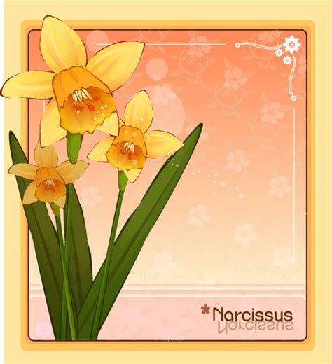 Narcissus Flower Frame Vector Free Download