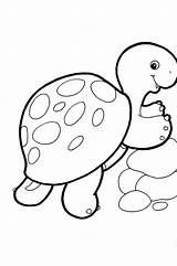 Coloring Pages Baby Animals Cute Kids Zoo Animal Colouring Gambar Binatang Lucu Mewarnai Comments Library Drawings Clipart Popular Coloringhome sketch template