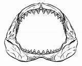Jaws Jaw Bite Dxf Table6 Clipartmag Pinclipart Getdrawings Pluspng sketch template