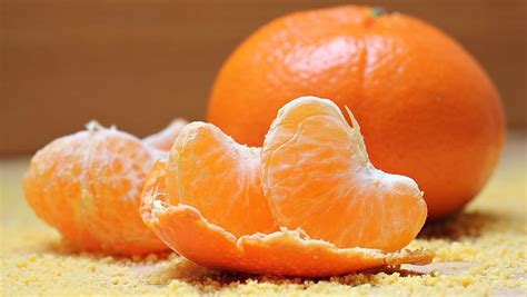 interesting facts  oranges cool kid facts