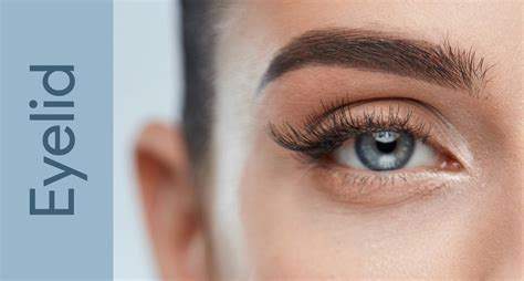 cosmetic  reconstructive surgery   eyelids orbits  tear ducts