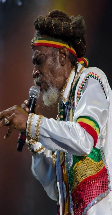 visit jamaica reggae sumfest reggaefestival sumfest jamaica caraibconnexion in 2019 reggae
