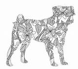 Volwassenen Hond Kleurplaten sketch template