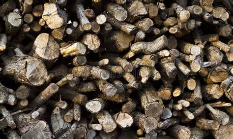 logs stock image image  energy logging fuel material