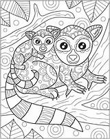 Zendoodle Coloring Baby Animal Macmillan Safari Book sketch template