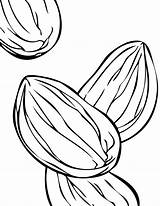 Almond Coloring Drawing Clipart Diamond Almonds Ring Pages Clipartmag Hadil 600px 49kb sketch template