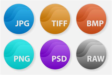 quick  easy guide  understanding file formats