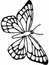 Butterfly Coloring Pages Butterflies Cute Beautiful Outline Colouring Printable Sheets Pretty Drawing Flower Monarch Kids Print Wings Getdrawings Adult Sketch sketch template
