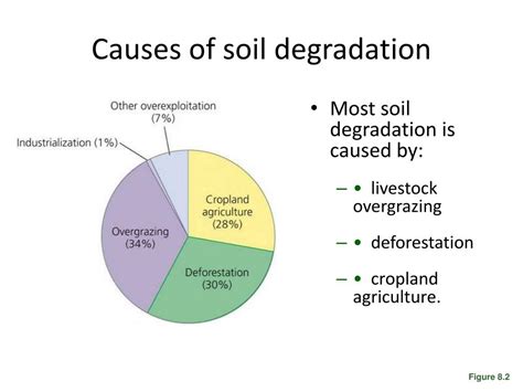 soil degradation  conservation powerpoint