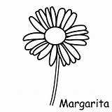 Margaritas Margaridas Margarita Margarida Saisons Meteo Technologie Bricolage Pictogrammes sketch template