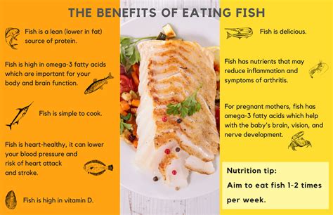 benefits  eating fish infographic patterns  nutrition