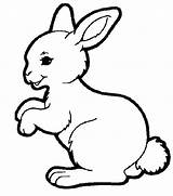 Bunny Coloring Pages Baby Rabbit Cute Easter Drawing Printable Lapin Coloriage Petit Color Animaux Print Bear Colouring Bunnies Hopping Ligne sketch template