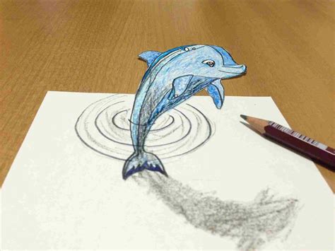 sketch pictures  dolphins  paintingvalleycom explore collection