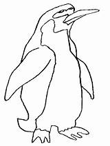 Coloring Penguin Pages Penguins Animals Cartoon Clipart Kids Library Cliparts Printable Color Clip Para Colorear Galapagos Pinguino Penguen Print Number sketch template