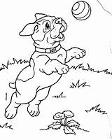 Coloring Pages Ball Library Clipart Baseball Puppy sketch template