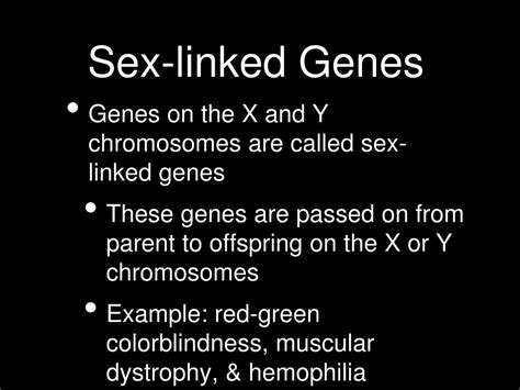 ppt x and y chromosomes powerpoint presentation id 6836902