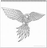 Papagei Ausdrucken Ara Coloring Parrot Freemandaladownload Malseite sketch template