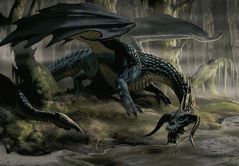 black dragon  forgotten realms wiki books races classes