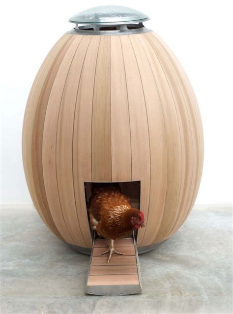 girl   brick house designer chicken coops