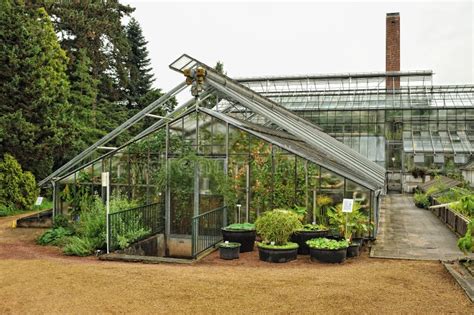 big greenhouse stock photo image  traditional glass