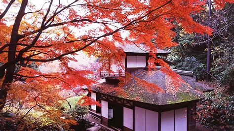 Where To Admire The Autumn Leaves In Tokyo Culture The Oriental