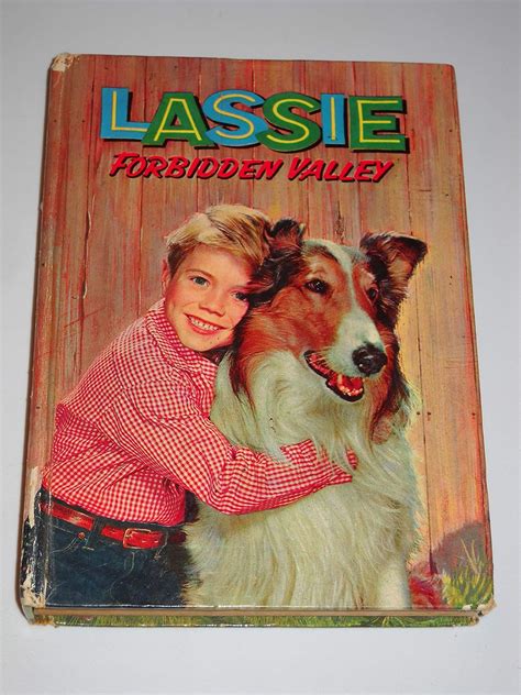 Lassie Forbidden Valley Doris Schroeder Illustrated By Harry L