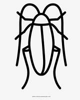 Cucaracha Cockroach Clipartkey sketch template