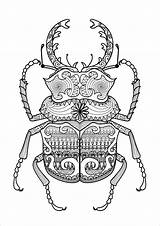 Coloring Pages Beetle Beetles Zentangle Adult Coloringbay sketch template