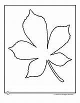 Leaf Traceable Ages Creativity sketch template