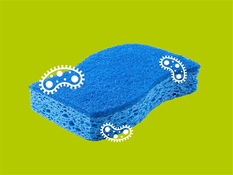 This Is When You Should Throw Out Your Kitchen Sponge Self
