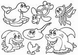 Laut Mewarnai Binatang Kumpulan Paud Sketsa Gambarcoloring Ayah Bunda Dapat sketch template