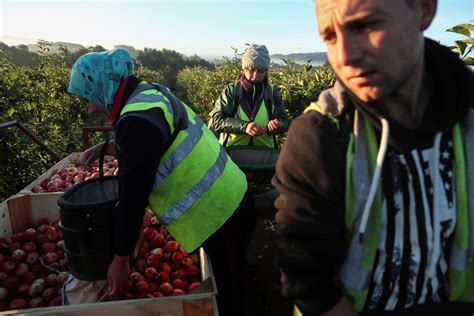food prices   uk  increase  european union workers leave  country post brexit