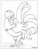 Chicken Coloring Pages Pitara Kids Birds sketch template