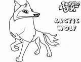 Coloring Jam Animal Pages Arctic Wolf Printable Tundra Hare Rocks Fox Getcolorings sketch template