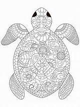 Coloring Turtle Mandala Pages Schildkröte Sea Adult Animal Un Colouring Mit Adults Vector Tortue раскраски доску выбрать Coloriage Stock Choisir sketch template