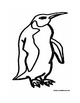 Antarctica Penguin Pages Antarctic Colormegood sketch template