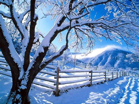 winter monty pelerins world