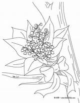 Valley Coloring Lily Bunch Pages Flower Nature Print Color Online sketch template