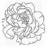 Impression Cling Obsession Peony sketch template