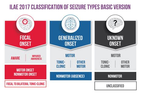 epilepsy seizures types  seizure disorders